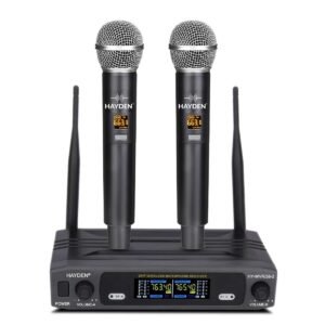 hayden dual mic system