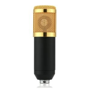 studio microphone