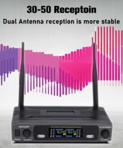 hayden dual mic system